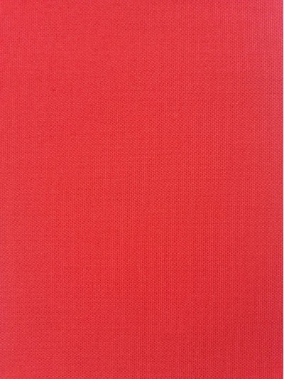 SD-KGYE  T/C   24*24  100*50   1/1 RED 正面照